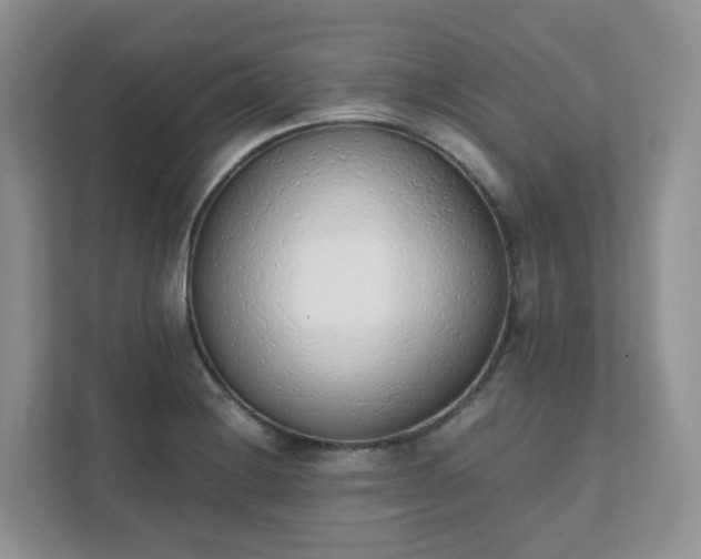 X0000111531228200907211237