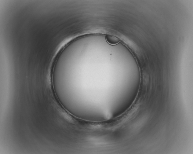 X0000111531230200907211237