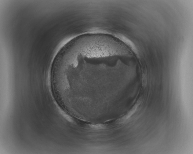 X0000111531231200907211238