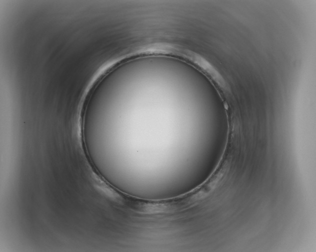 X0000111531232200907211238