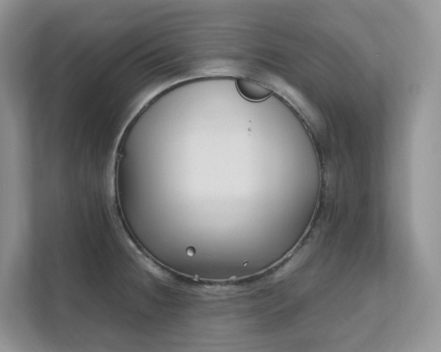 X0000111531236200907211238