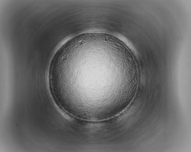 X0000111531237200907211238