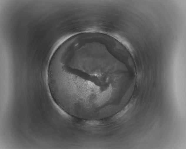 X0000111531239200907211238