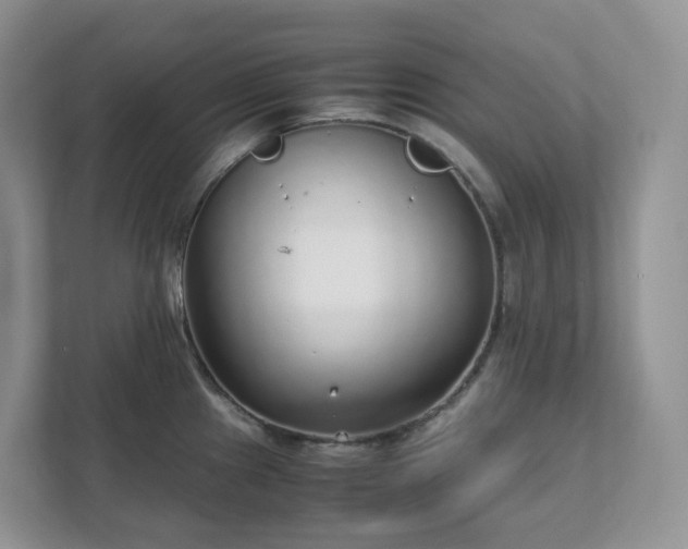 X0000111531241200907211238