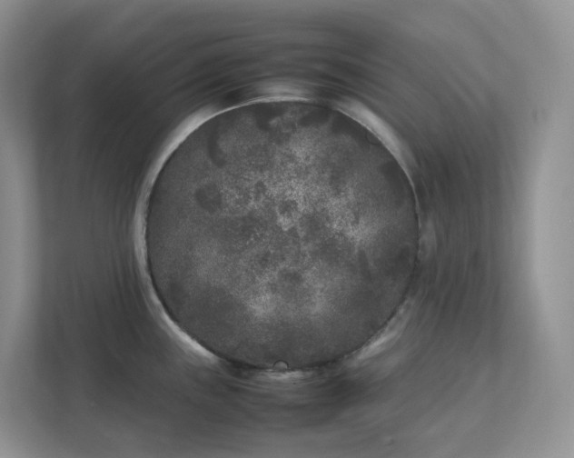 X0000111531243200907211238