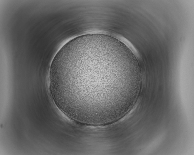 X0000111531244200907211238