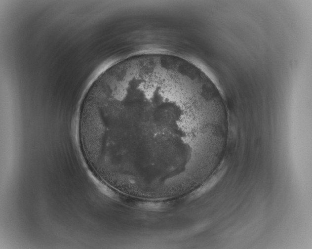 X0000111531245200907211238