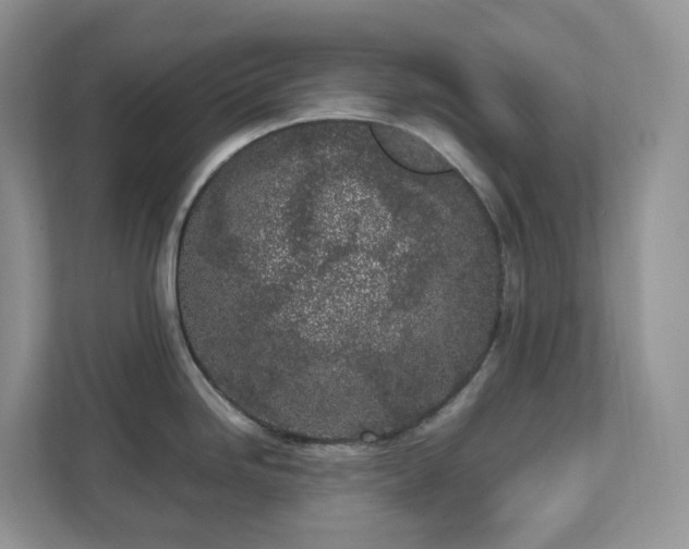 X0000111531246200907211238