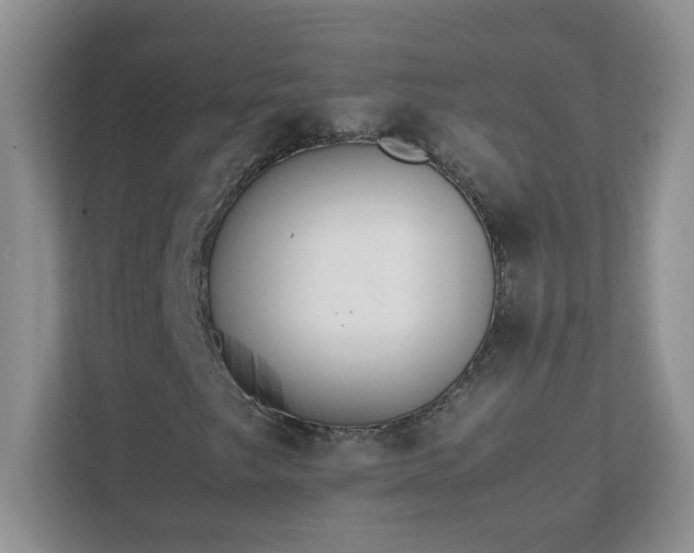 X0000111531249200907211237