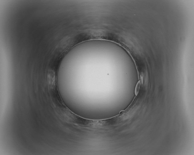 X0000111531251200907211237