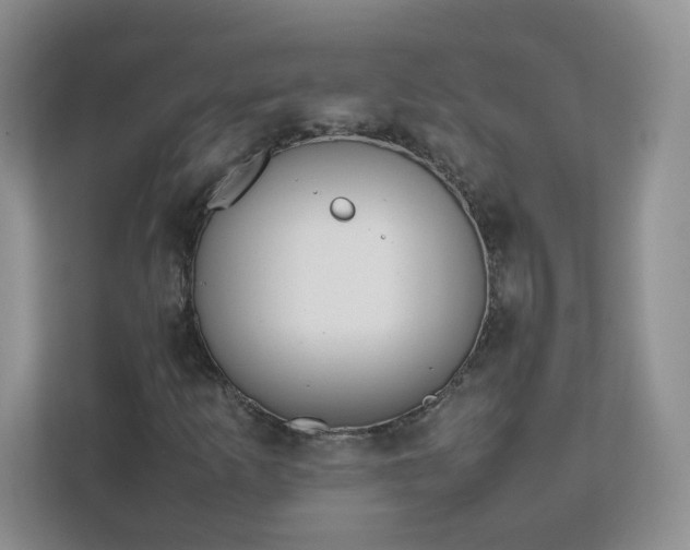 X0000111531253200907211237