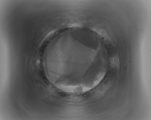 X0000111531254200907211237