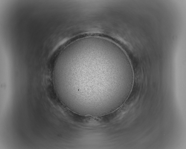 X0000111531255200907211237