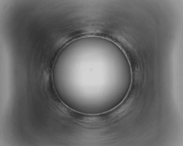 X0000111531257200907211237