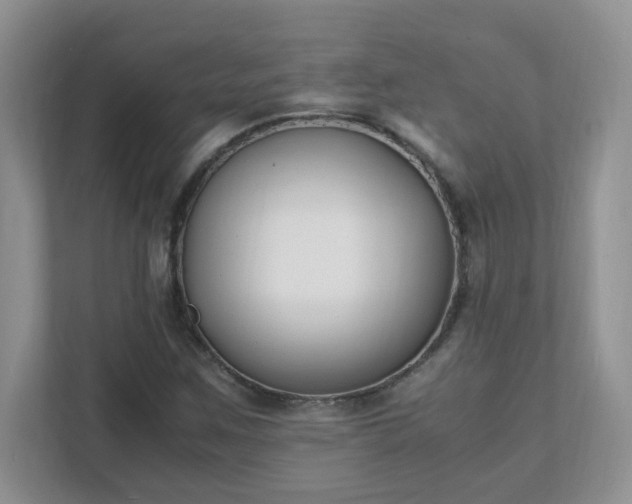 X0000111531259200907211237