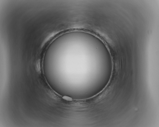 X0000111531262200907211237