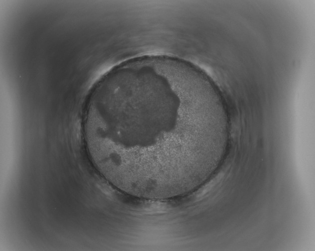 X0000111531263200907211237