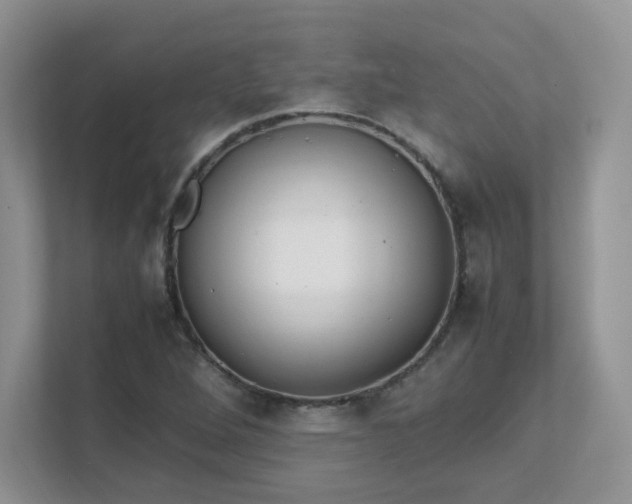 X0000111531264200907211237