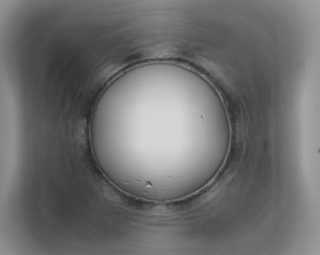 X0000111531265200907211237