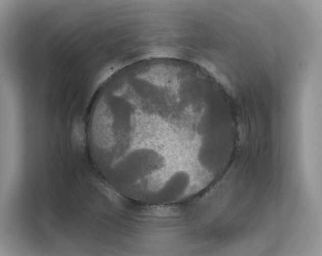 X0000111531266200907211237