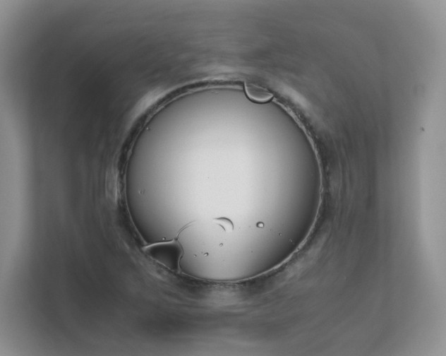 X0000111531267200907211237