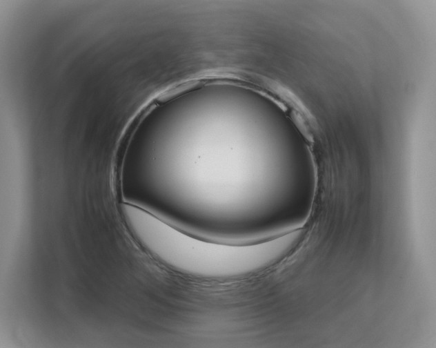 X0000111531268200907211237