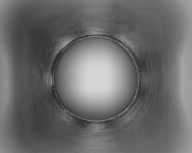 X0000111531269200907211237