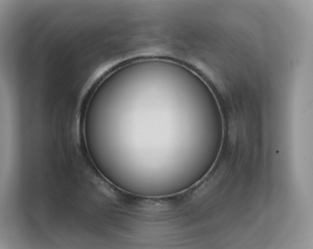 X0000111531270200907211237