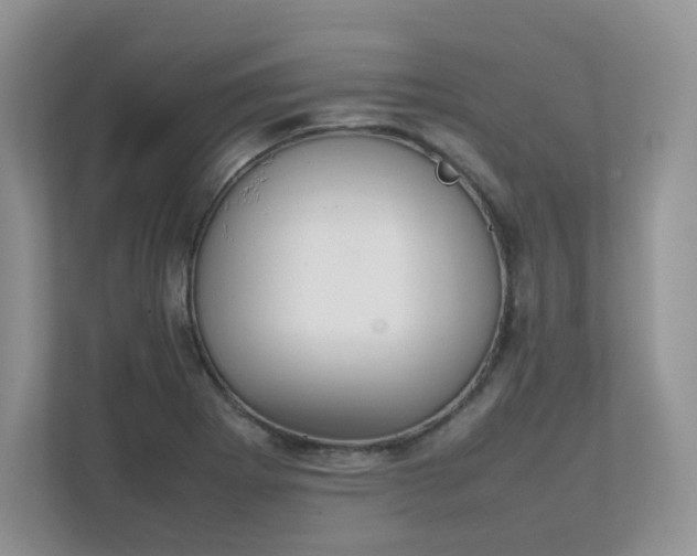 X0000111531273200907211237