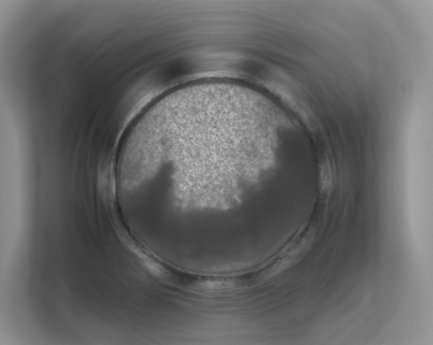 X0000111531274200907211237