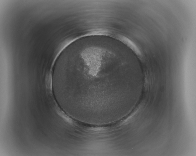 X0000111531276200907211237