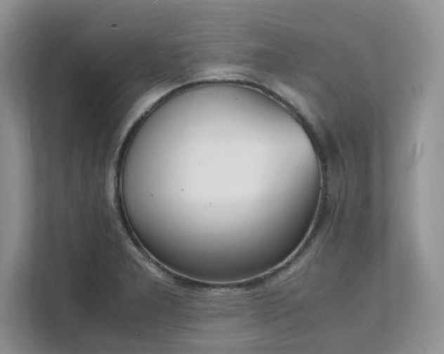 X0000111531277200907211237