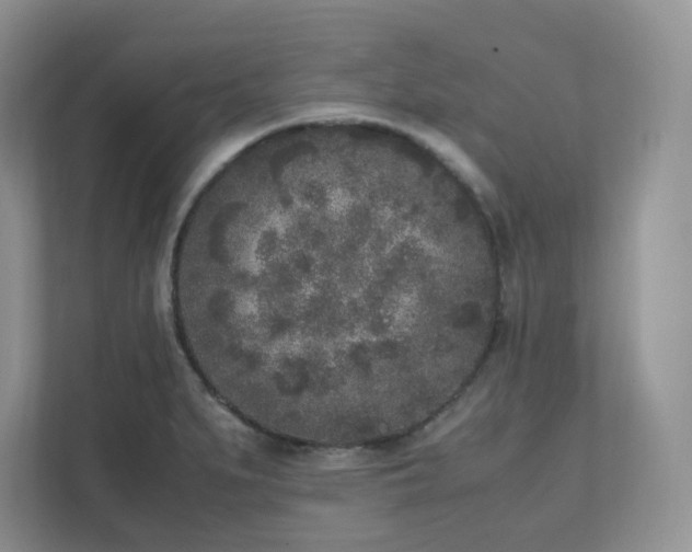 X0000111531279200907211237