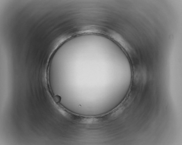 X0000111531282200907211237