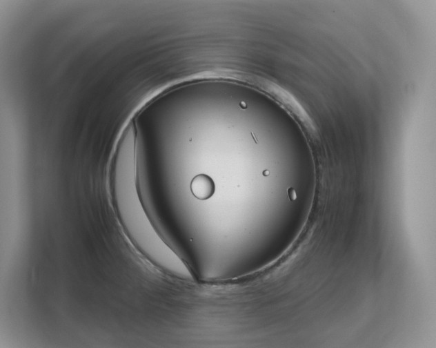 X0000111531284200907211237