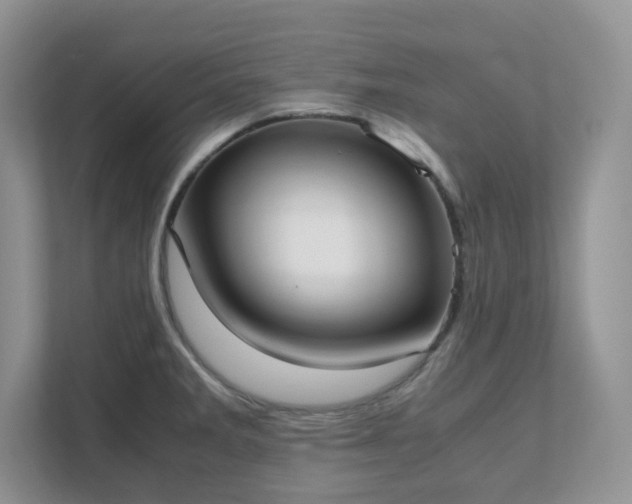 X0000111531285200907211237