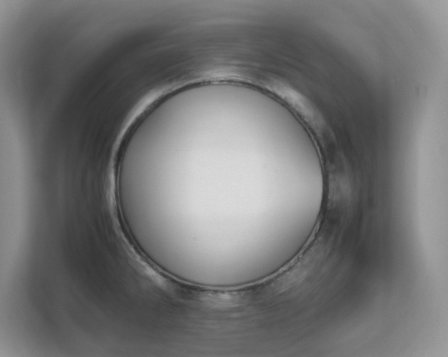 X0000111531286200907211237