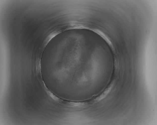 X0000111531289200907211237