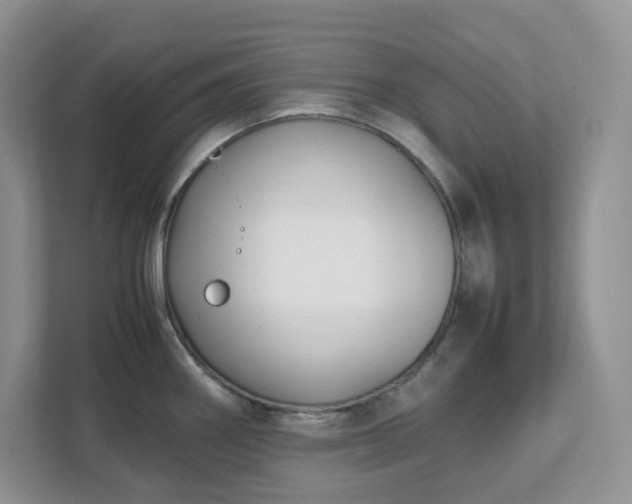 X0000111531290200907211237