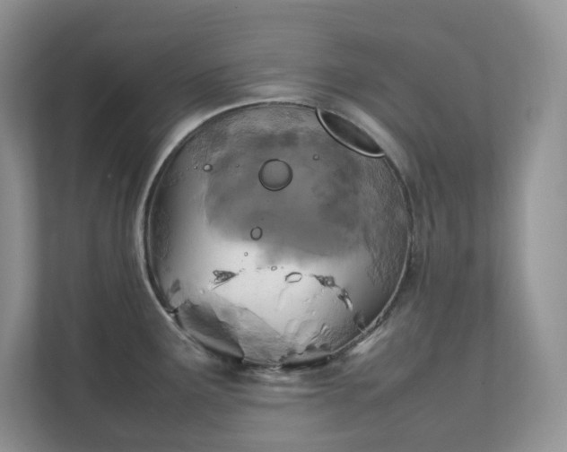 X0000111531291200907211237