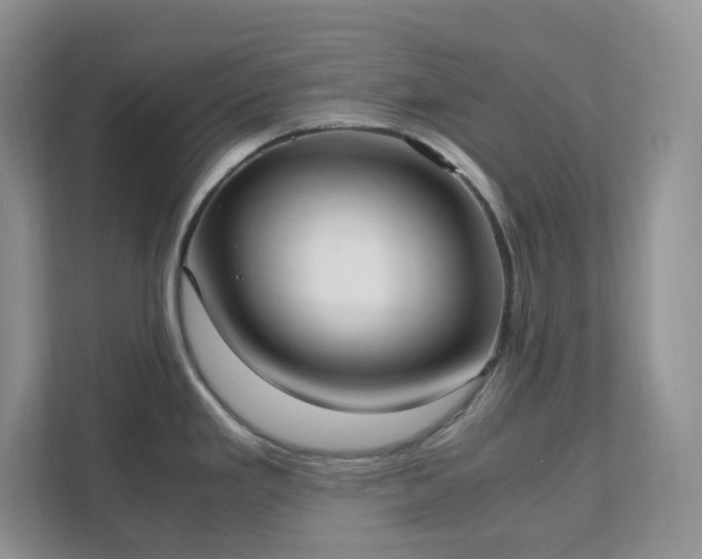 X0000111531293200907211237