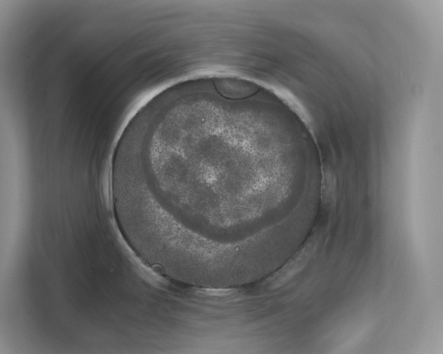 X0000111531295200907211237