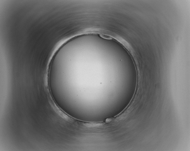 X0000111531296200907211236