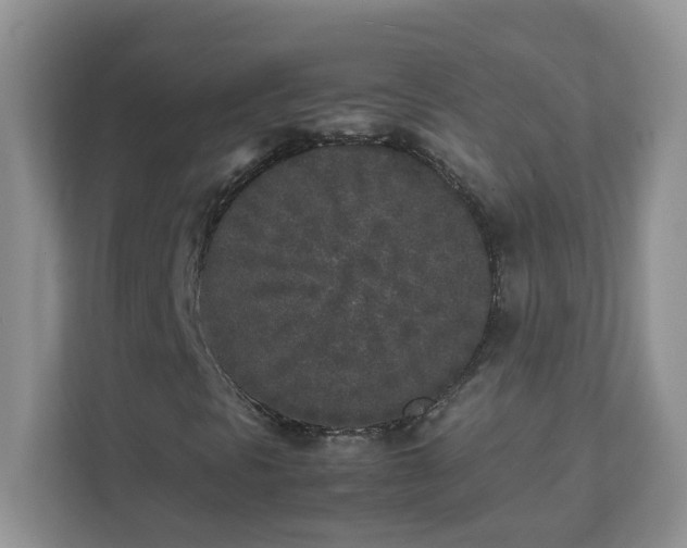 X0000111531297200907211236