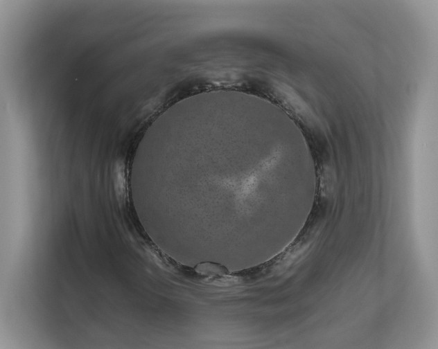 X0000111531298200907211236