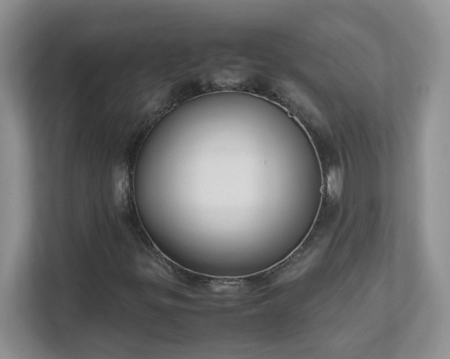 X0000111531299200907211236