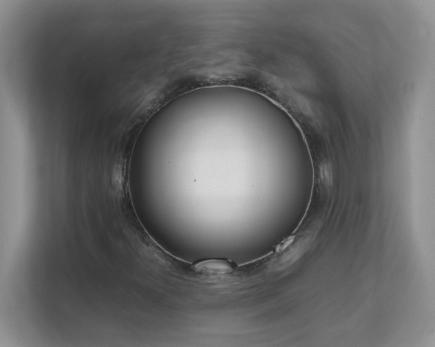 X0000111531300200907211236