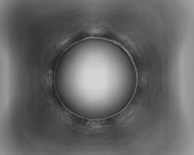 X0000111531301200907211236