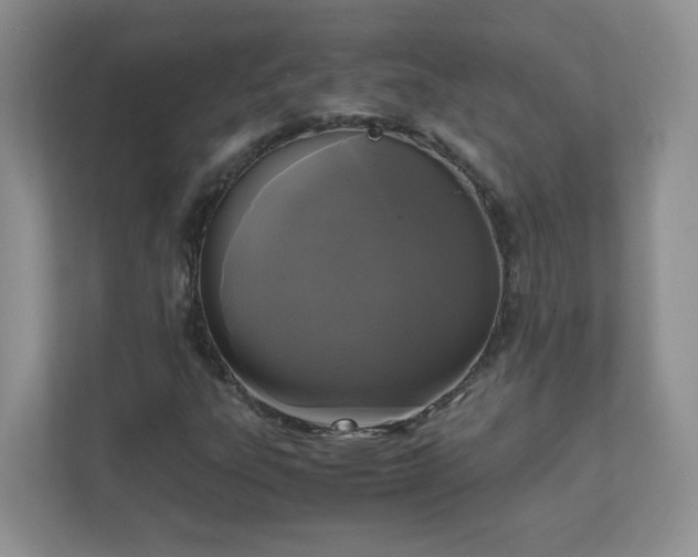 X0000111531303200907211236