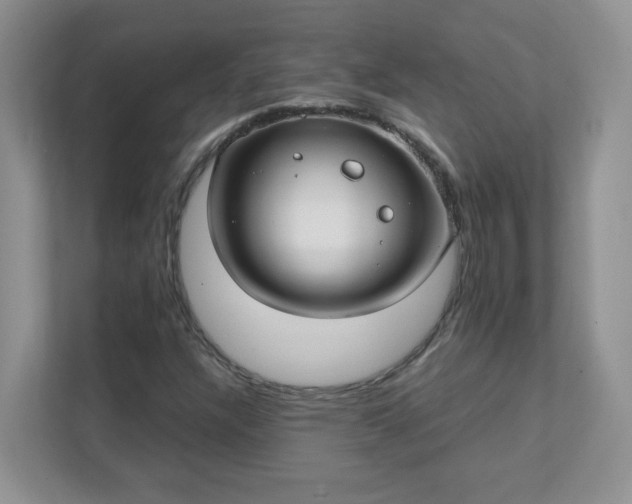 X0000111531304200907211236